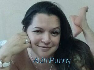 AidinPunny