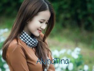 AkinaTina