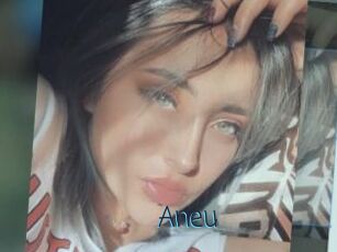 Aneu