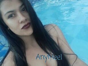 AnyMeel