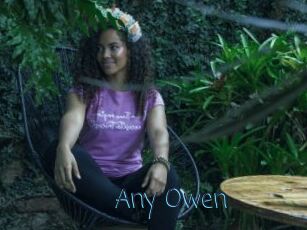 Any_Owen