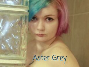 Aster_Grey