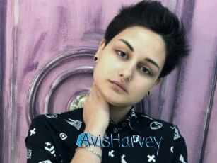 AvisHarvey