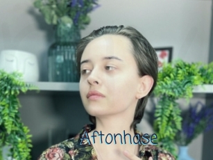 Aftonhase