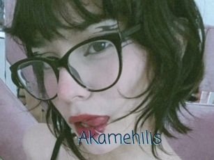 Akamehilis