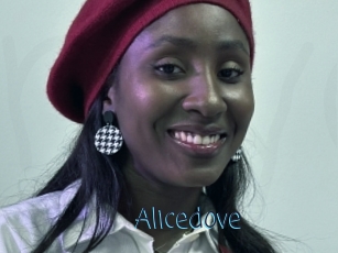 Alicedove