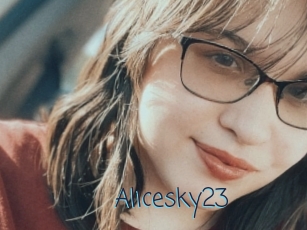 Alicesky23