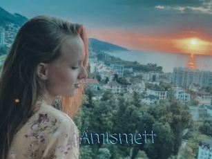 Amismett