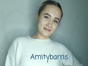Amitybarris