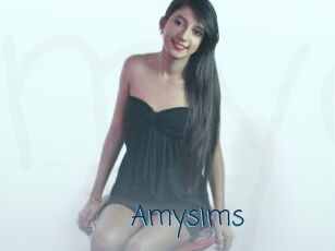 Amysims