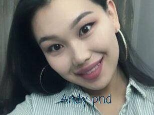 Andy_pnd