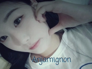 Anjamignon