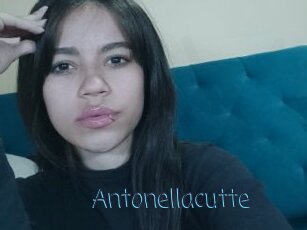 Antonellacutte