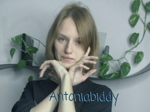 Antoniabiddy