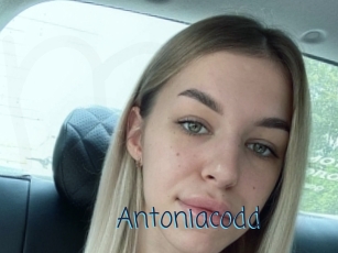 Antoniacodd