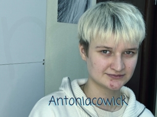 Antoniacowick