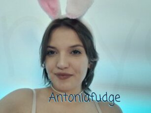 Antoniafudge