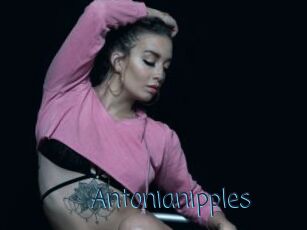 Antonianipples