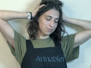 Arinabler