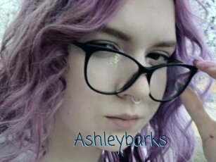 Ashleybarks