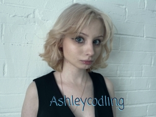 Ashleycodling