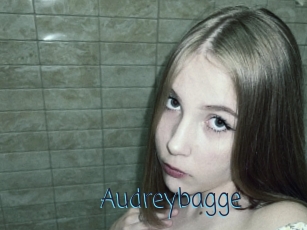 Audreybagge