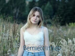 Berniecelittleb