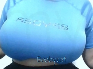 Boobycat