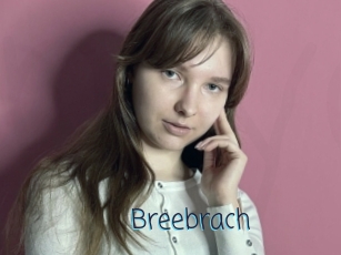 Breebrach