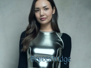 Breeestridge
