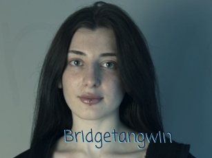 Bridgetangwin