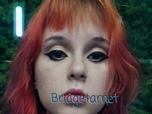 Bridgetarnet