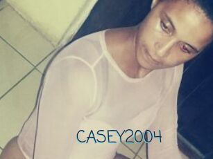 CASEY2004