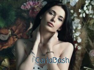 CarlaDash