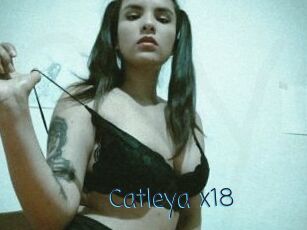 Catleya_x18