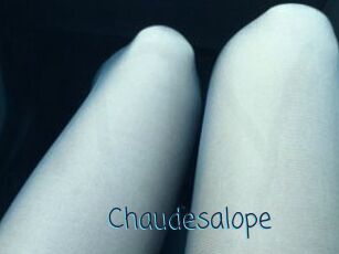 Chaudesalope