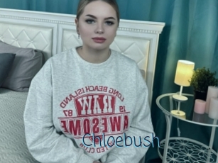 Chloebush