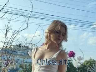 Chloecolts
