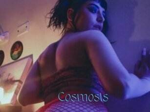 Cosmosis