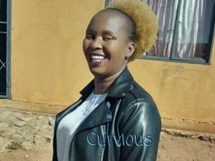Curvious