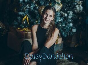 DaisyDandelion