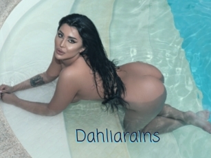 Dahliarains