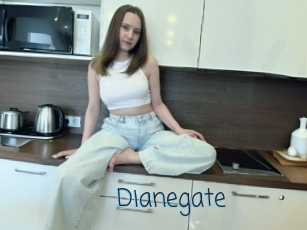Dianegate