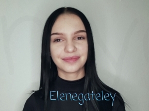 Elenegateley