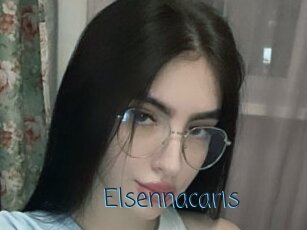 Elsennacaris