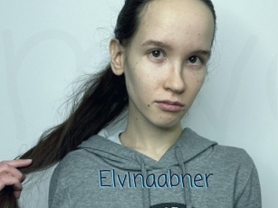 Elvinaabner