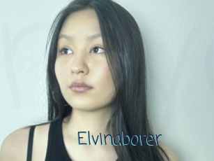 Elvinaborer