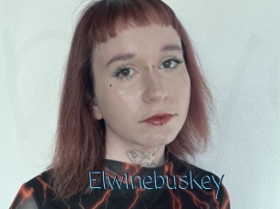 Elwinebuskey