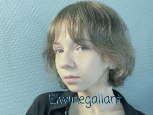 Elwinegallant
