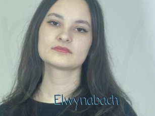 Elwynabach